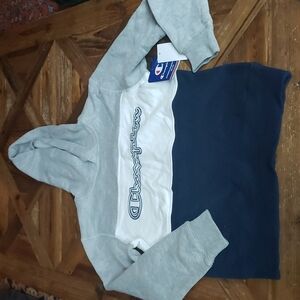 CHAMPION Authentic Athleticwear Hoodie